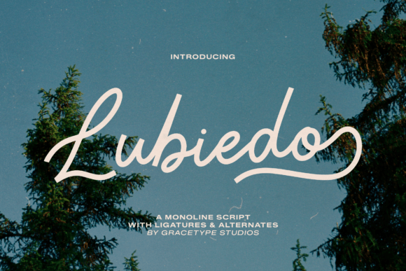 Lubiedo: A Script Font That Breathes Life Into Your Craft