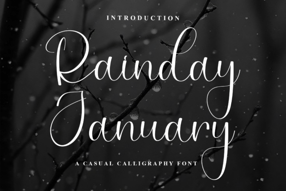 Rainday January: A Script Font for Web Design